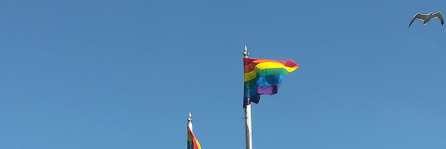 eilish dillon banner