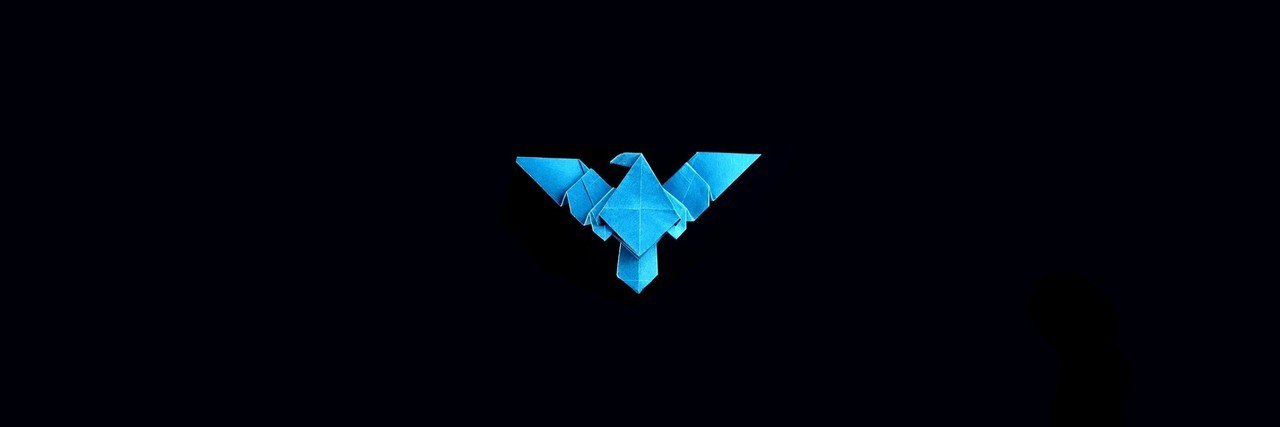 TheAdultWonder's profile banner image