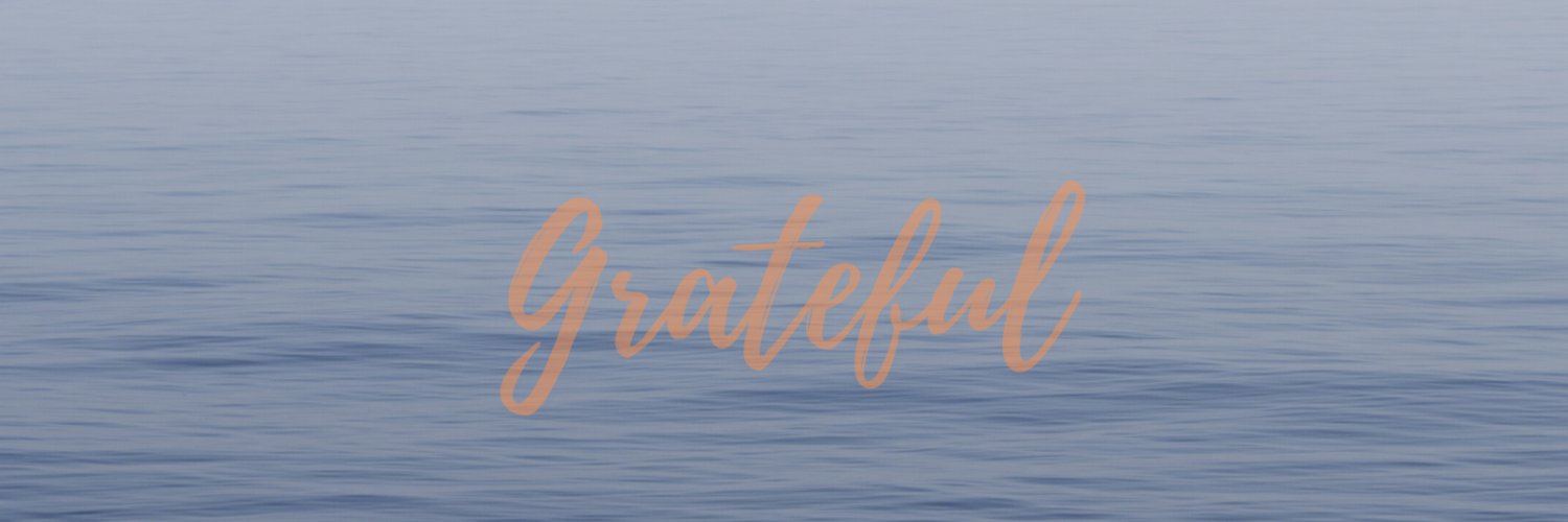 D_Meg's profile banner image