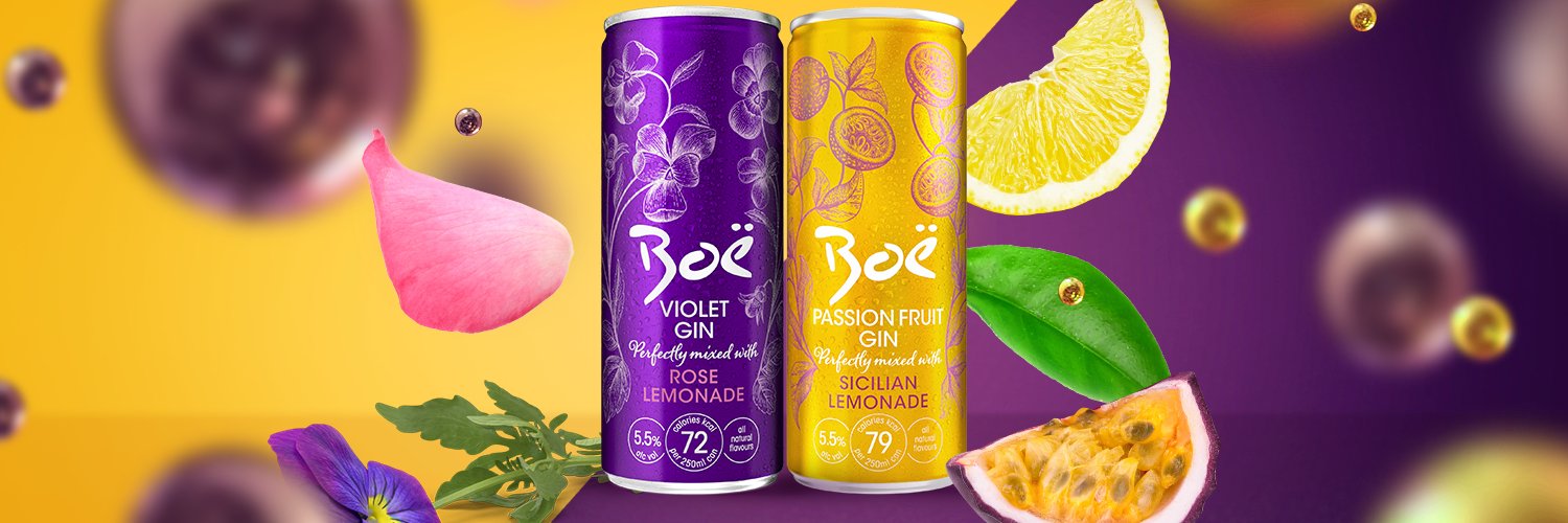 House of Boë banner