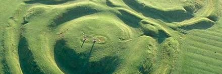 Michelle Darcy banner