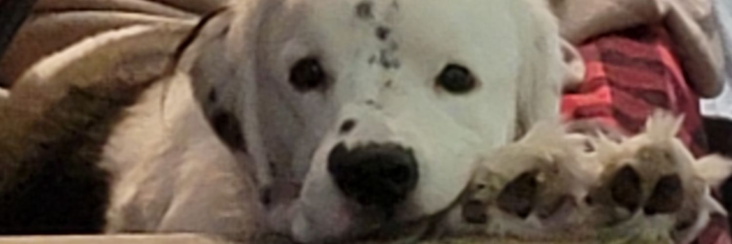 Goodfella0's profile banner image