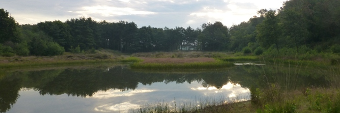 LuijtenMark's profile banner image
