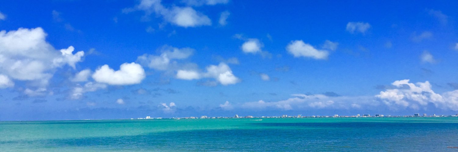 Sharon Almaguer banner