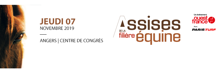 AFEquine's profile banner image