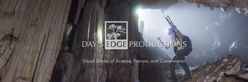 Day'sEdgeProductions banner