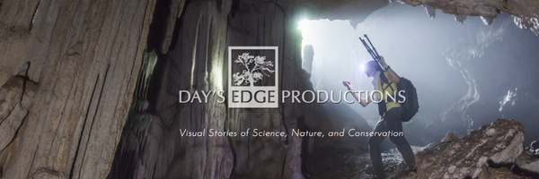 DaysEdge Profile Banner