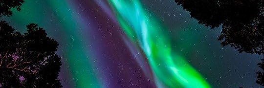 ADDAMFIKK's profile banner image