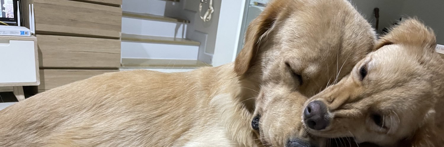 faunmeme's profile banner image