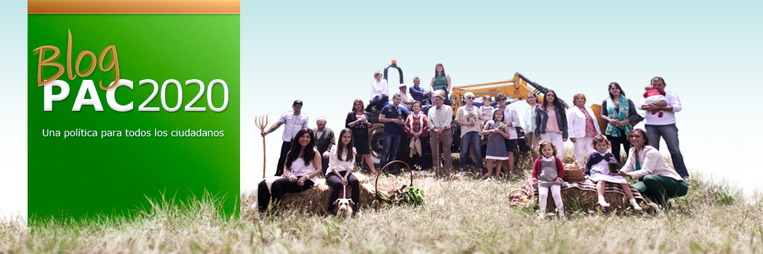 PAC2020's profile banner image