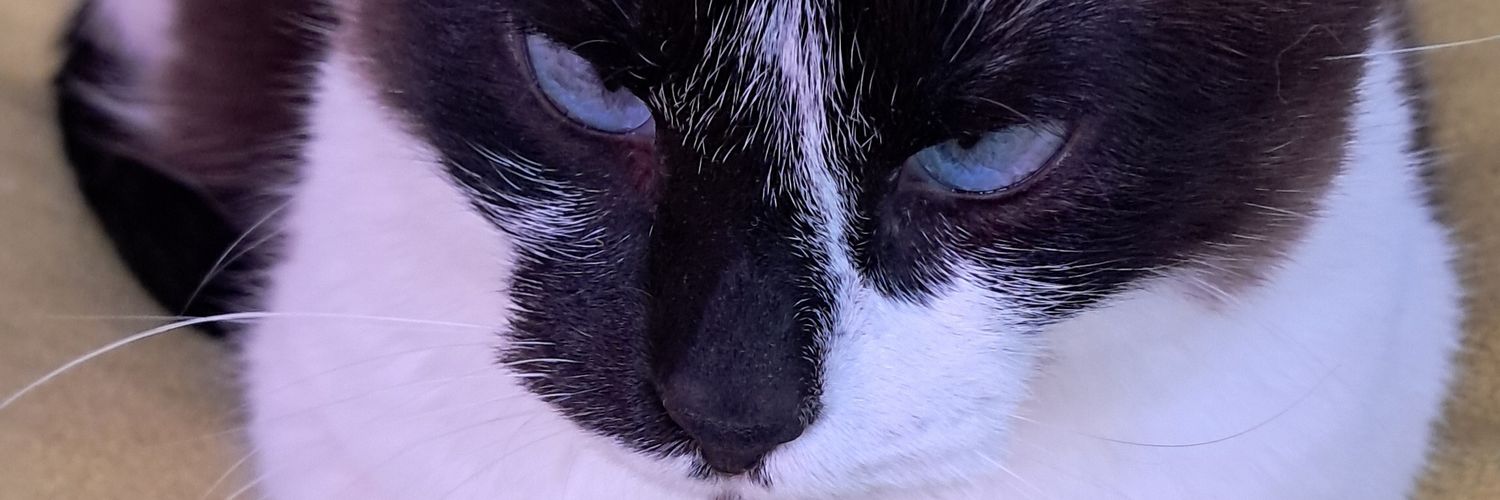 rafffa_santos's profile banner image