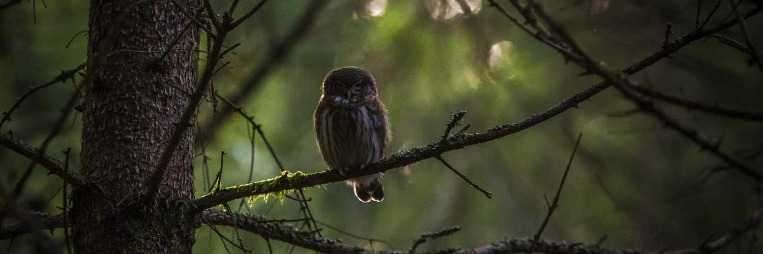 Pathways: Human Dimensions of Wildlife Conference banner
