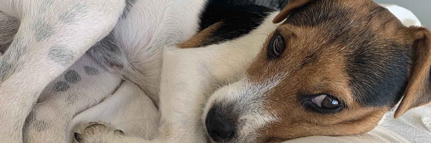 peytonannette banner