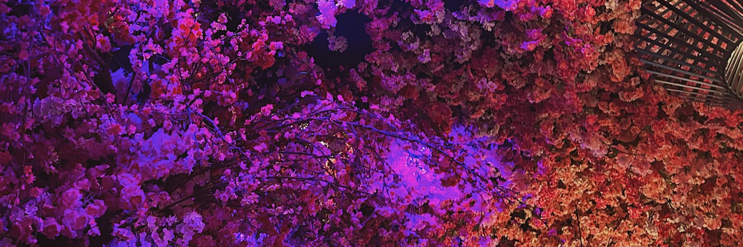 AmburgeyRachel's profile banner image