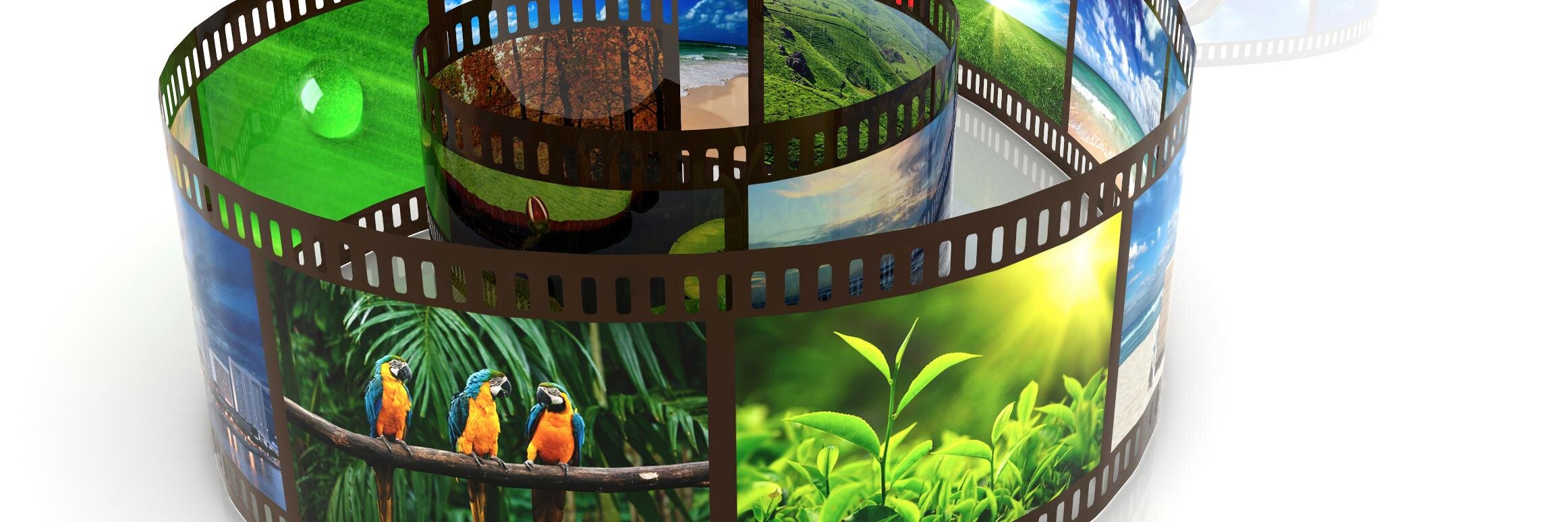 AbsoluteVideoUK's profile banner image
