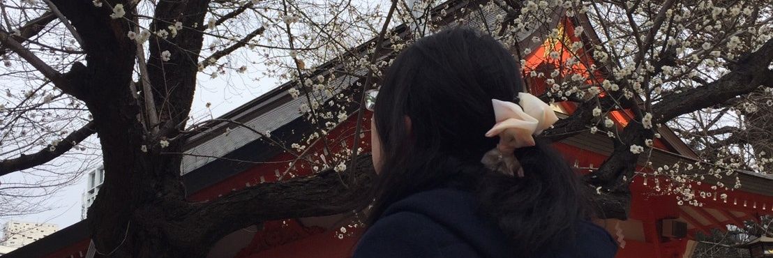 MihoKaede's profile banner image