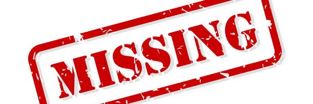 MissingFrenchie's profile banner image
