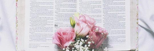 Meninas_Defe's profile banner image