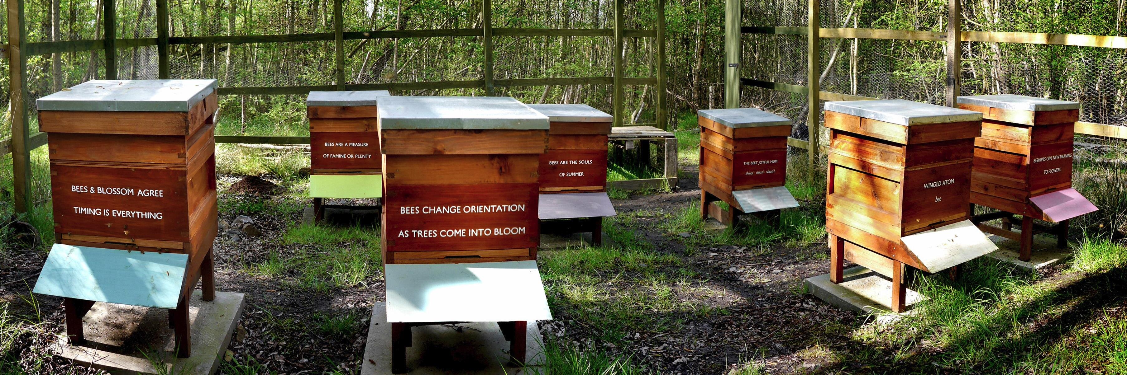 HelixBeekeepers's profile banner image
