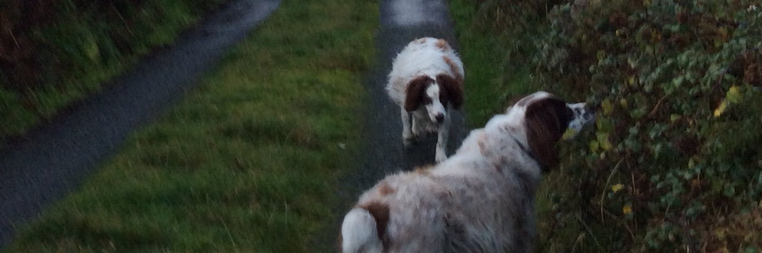 GrumpyGalway's profile banner image