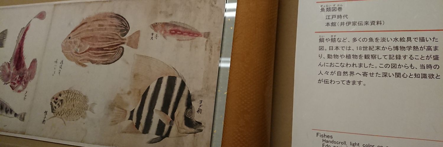 __yudedako's profile banner image