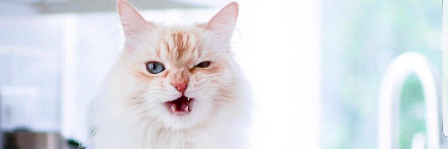 Jen_Porter4's profile banner image