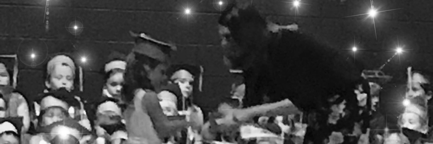 Sarah Trimner banner