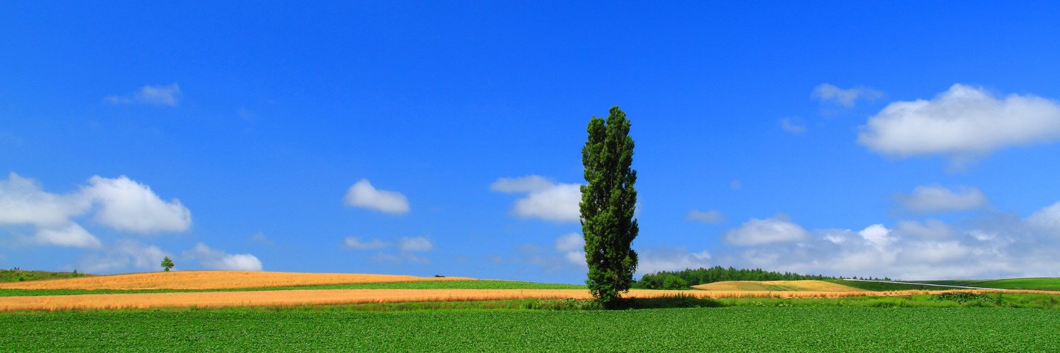 bianconoce's profile banner image