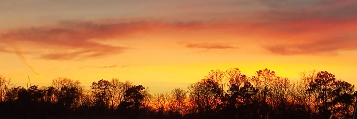 crystalsexton31's profile banner image