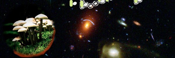 the_ozet Profile Banner