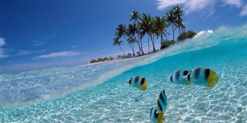 TerasTravel's profile banner image