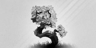 Tapiwa_Uriel's profile banner image