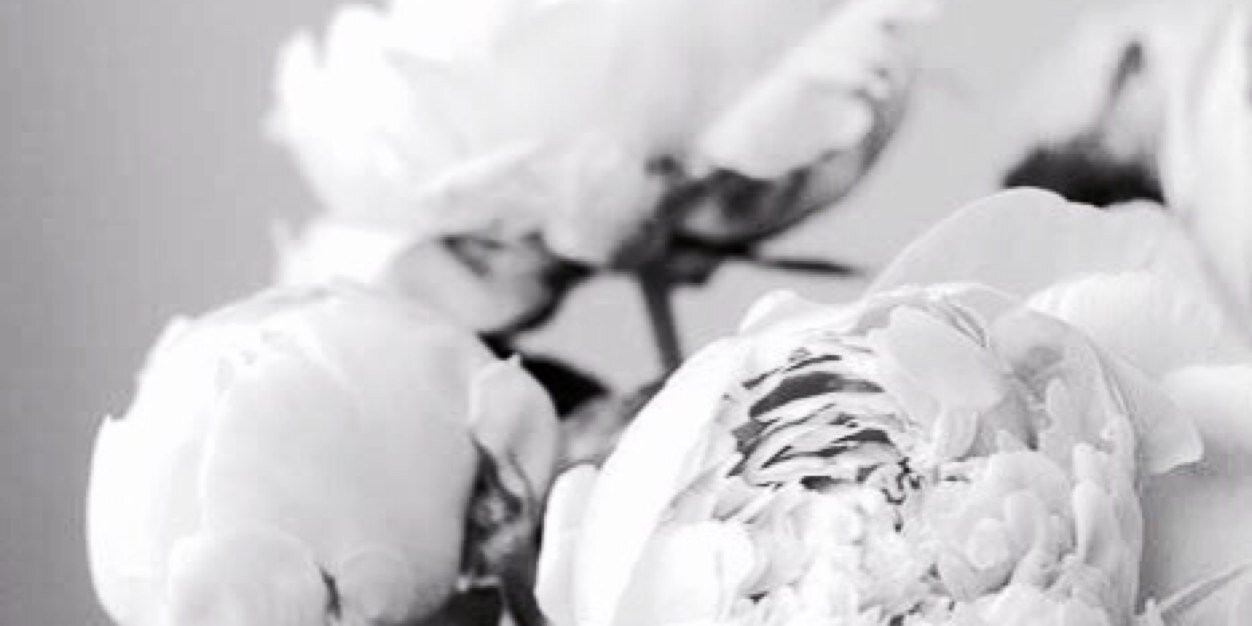jimehema's profile banner image