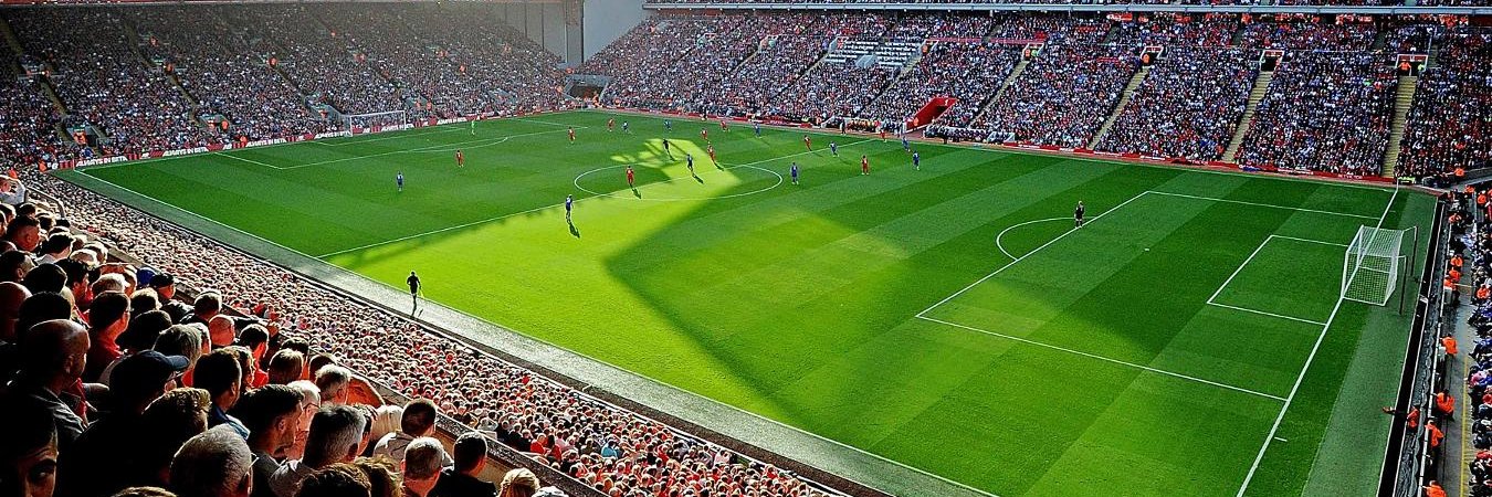 Peter Stevenson banner