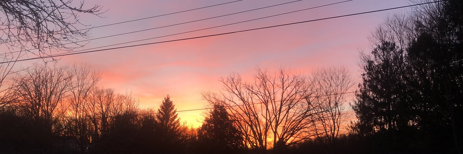 amysperrine's profile banner image