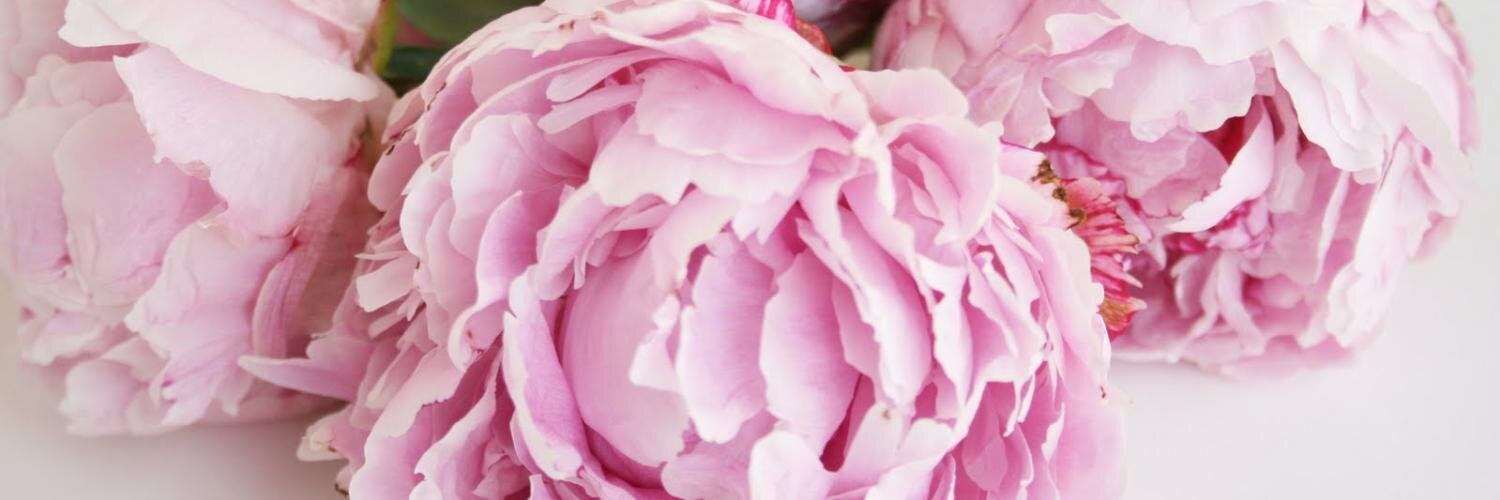 DutchFlowerAD's profile banner image