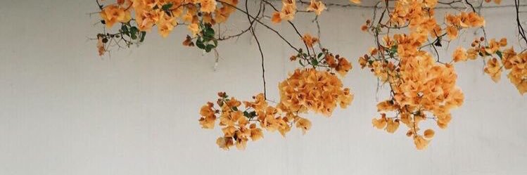 PauNavarro11's profile banner image