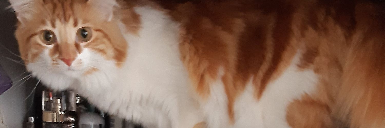 vvivonne's profile banner image