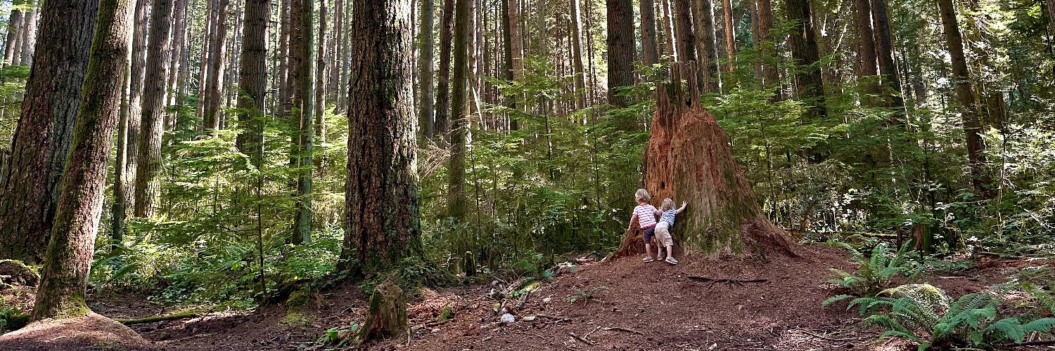 Mandy Len Catron banner