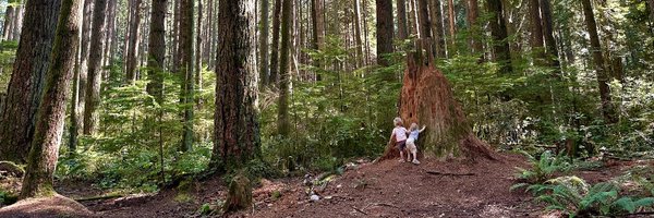 LenMandy Profile Banner