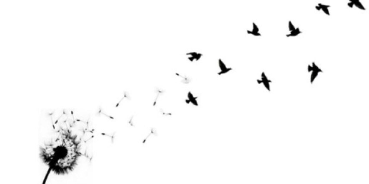 MissEricaSousa's profile banner image