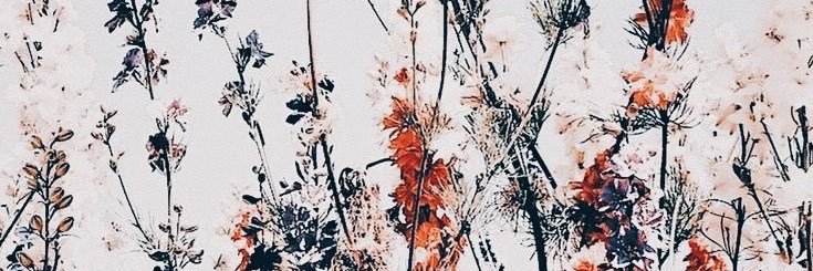 baileyrehm's profile banner image