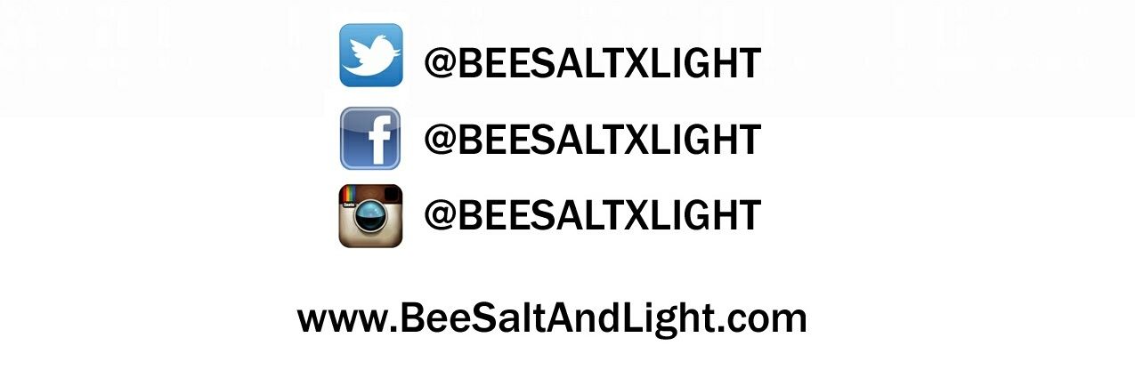 BeeSaltxLight's profile banner image