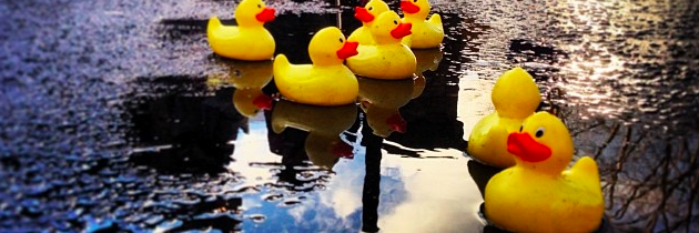 puddlejumper24's profile banner image