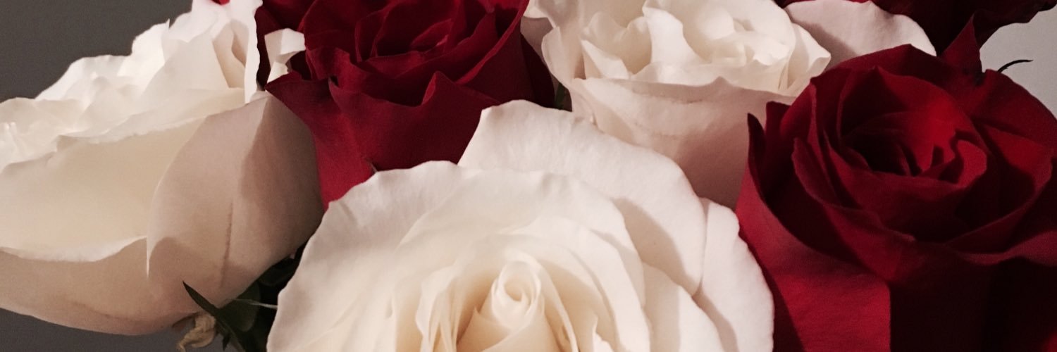 stephanie whitten banner