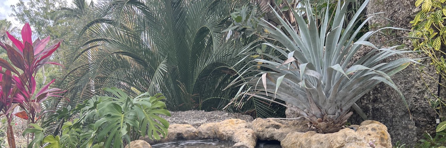 ericabeare's profile banner image