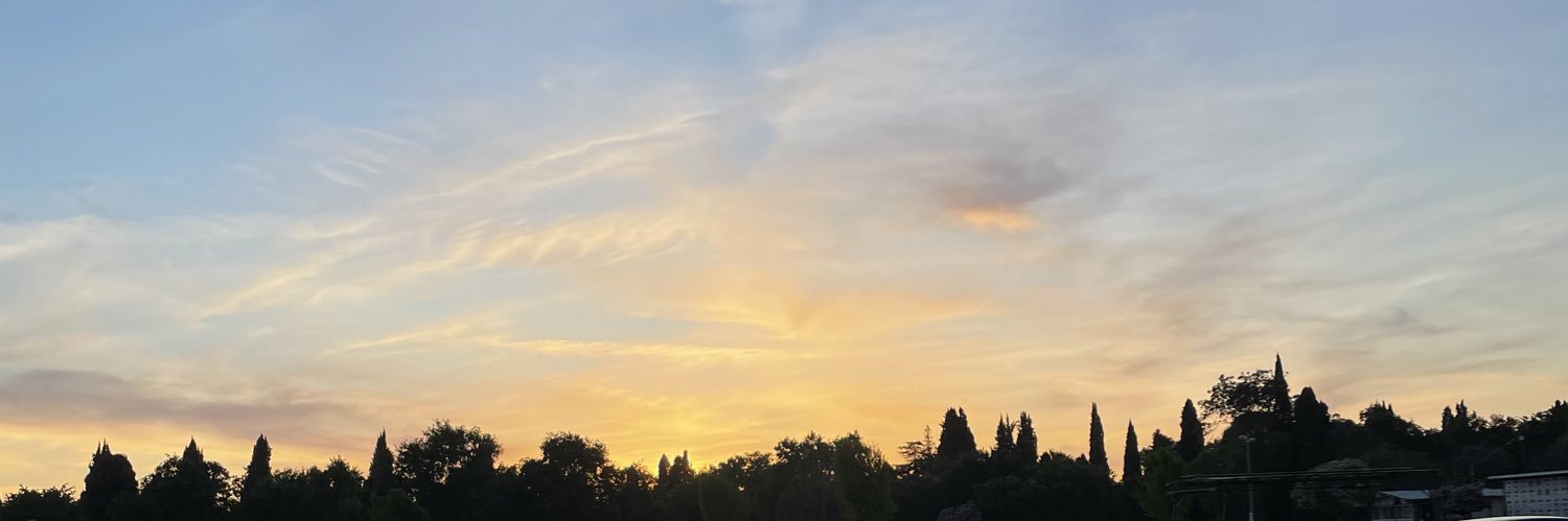 litlilii's profile banner image