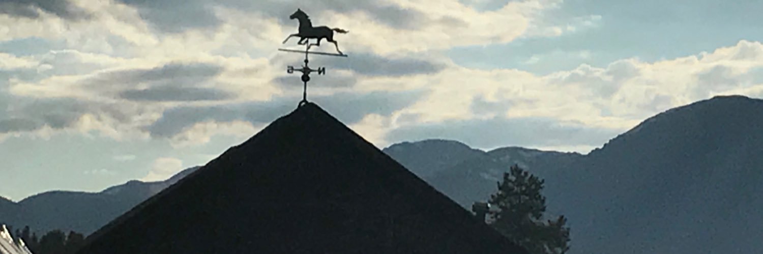 RenaeMousel's profile banner image