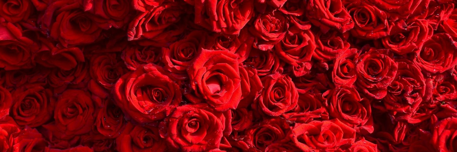 joselinedmrs's profile banner image