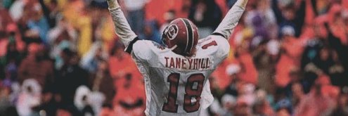 Nicholas Green banner